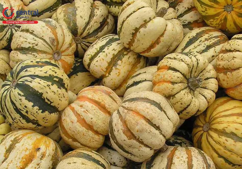 Bí Ngô