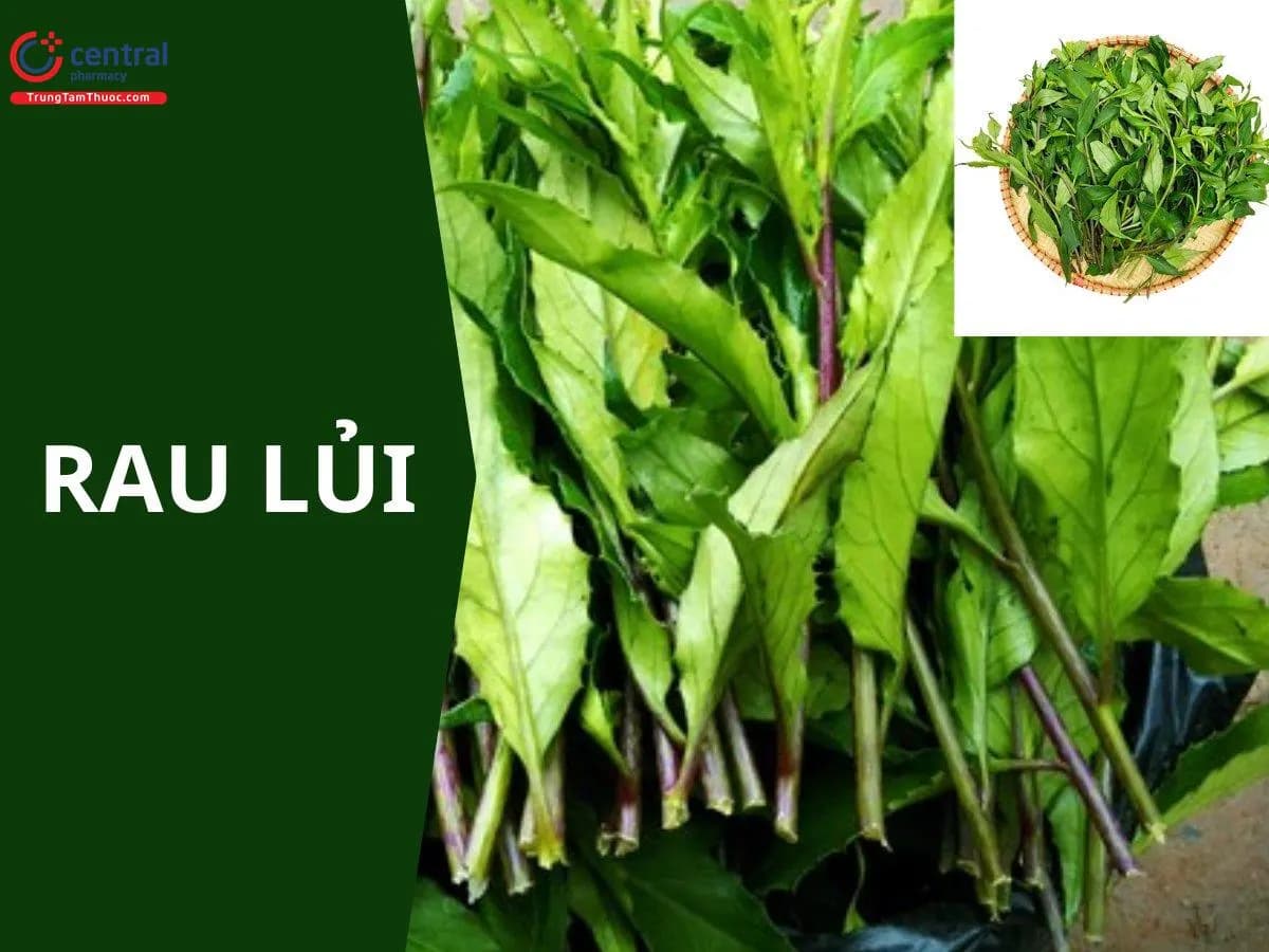 Rau lủi