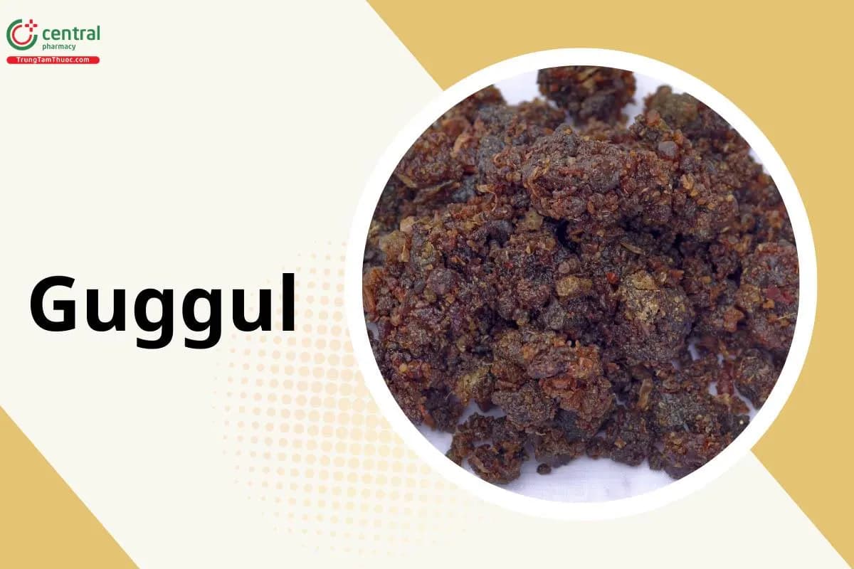 Gum Guggul