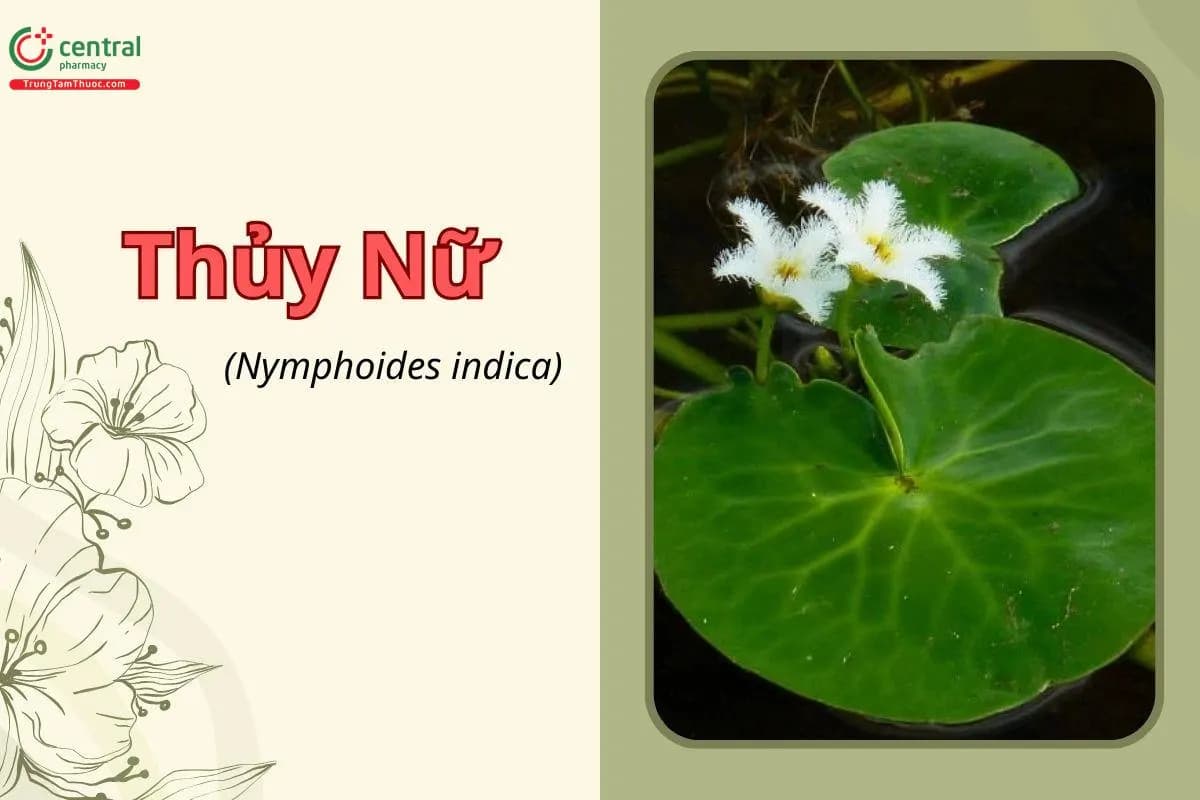 Thủy Nữ