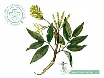 Chẹo