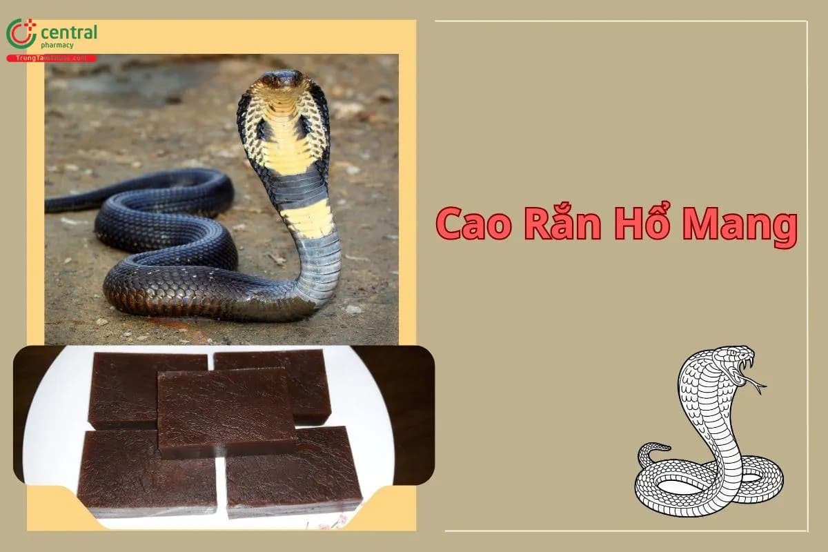 Cao rắn hổ mang