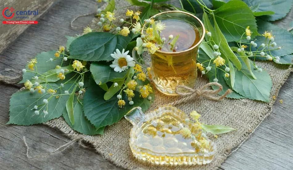 Đoạn Lá Bạc