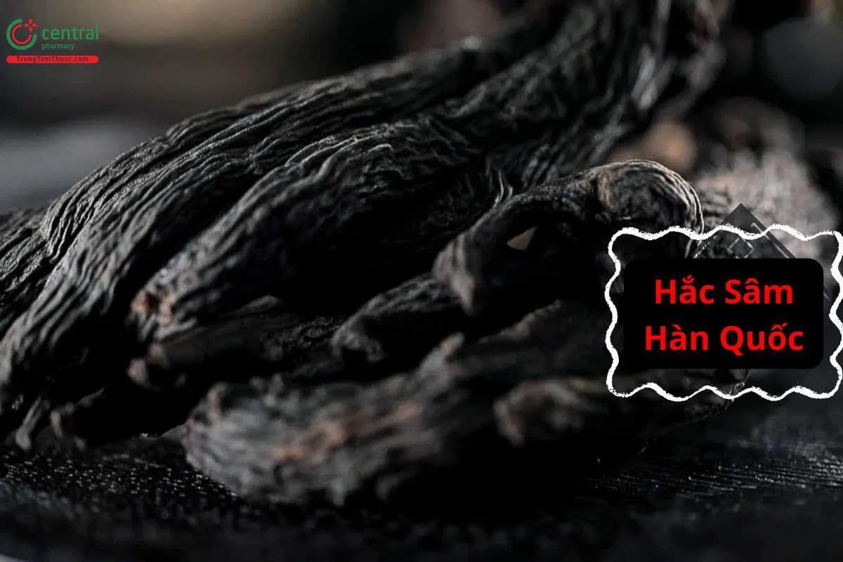 Hắc Sâm Hàn Quốc