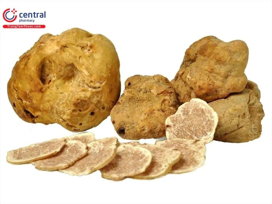 Nấm Truffle Trắng