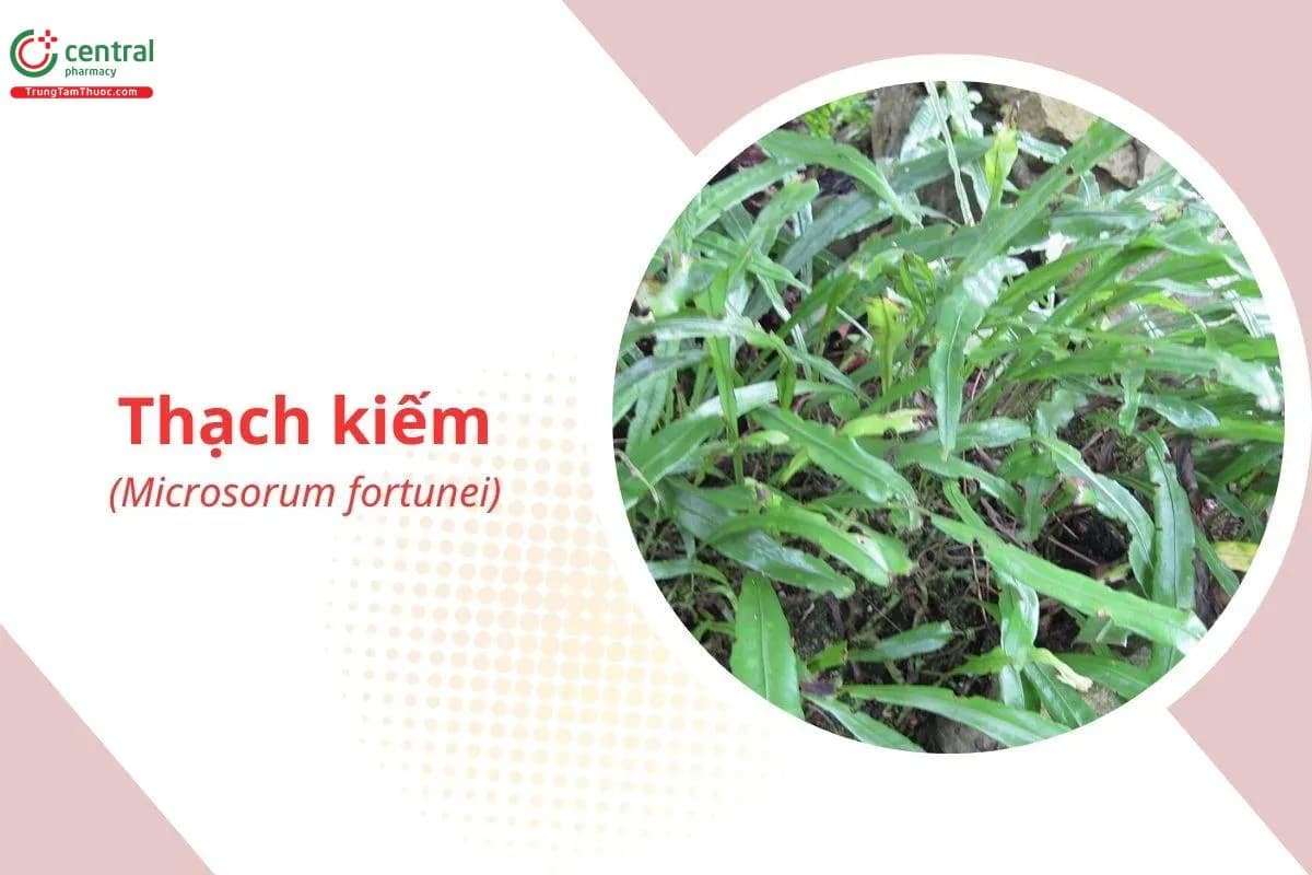 Thạch Kiếm