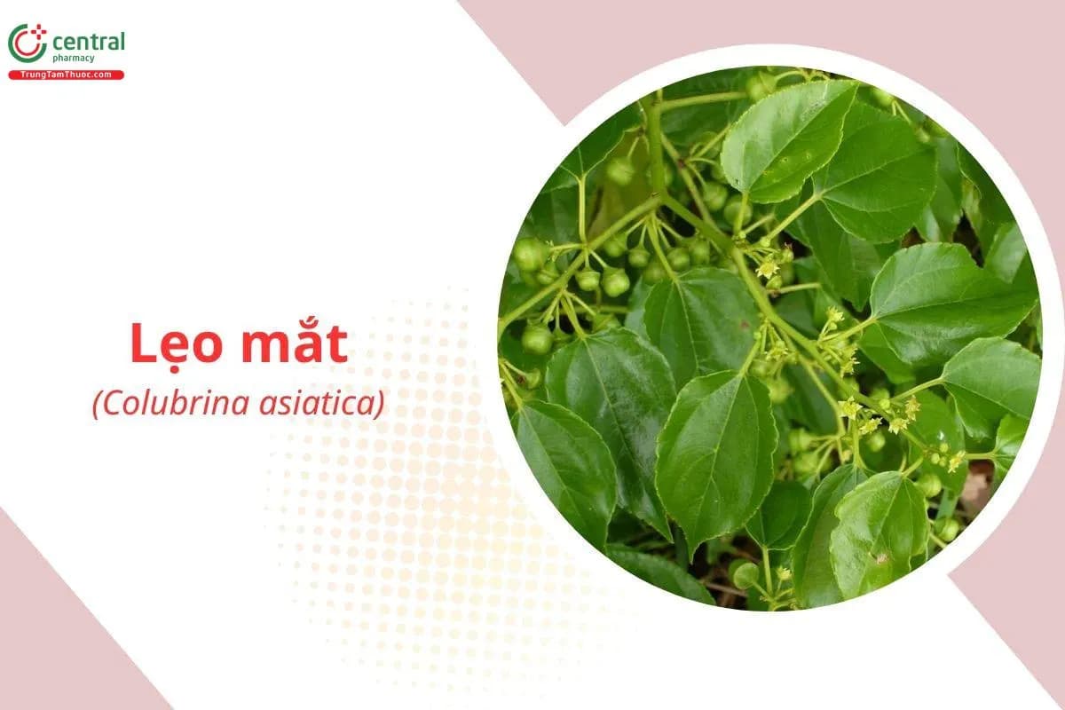 Lẹo Mắt