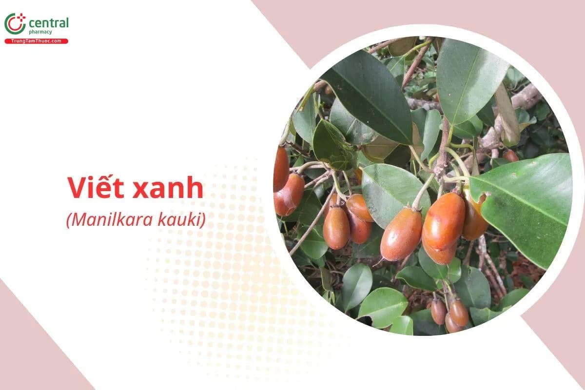 Viết Xanh