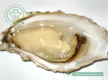 Hàu sông