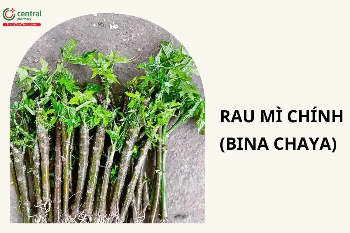 Rau Mì Chính