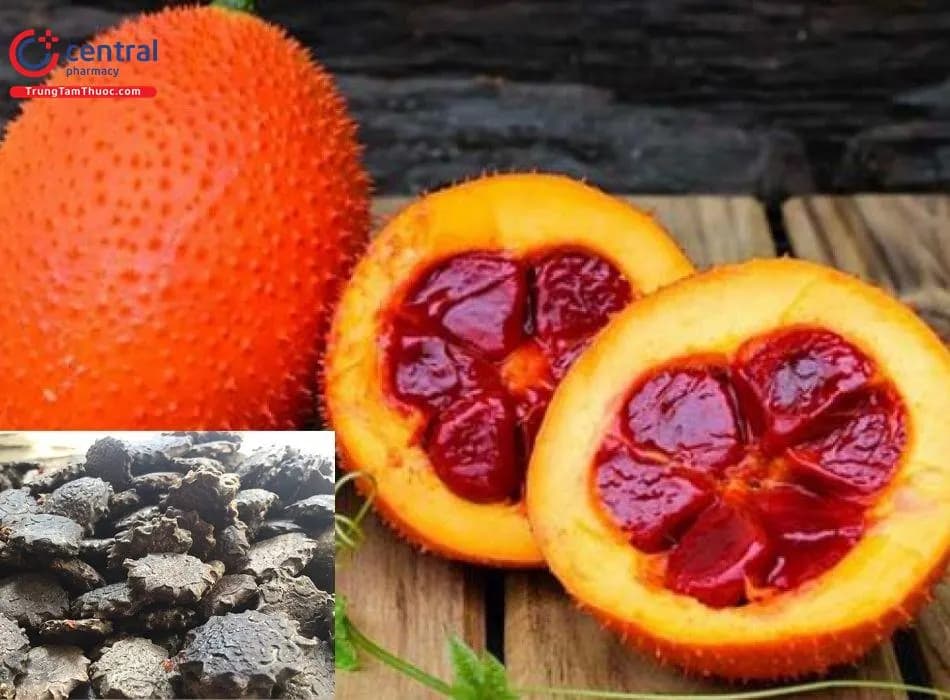 Mộc Miết Tử