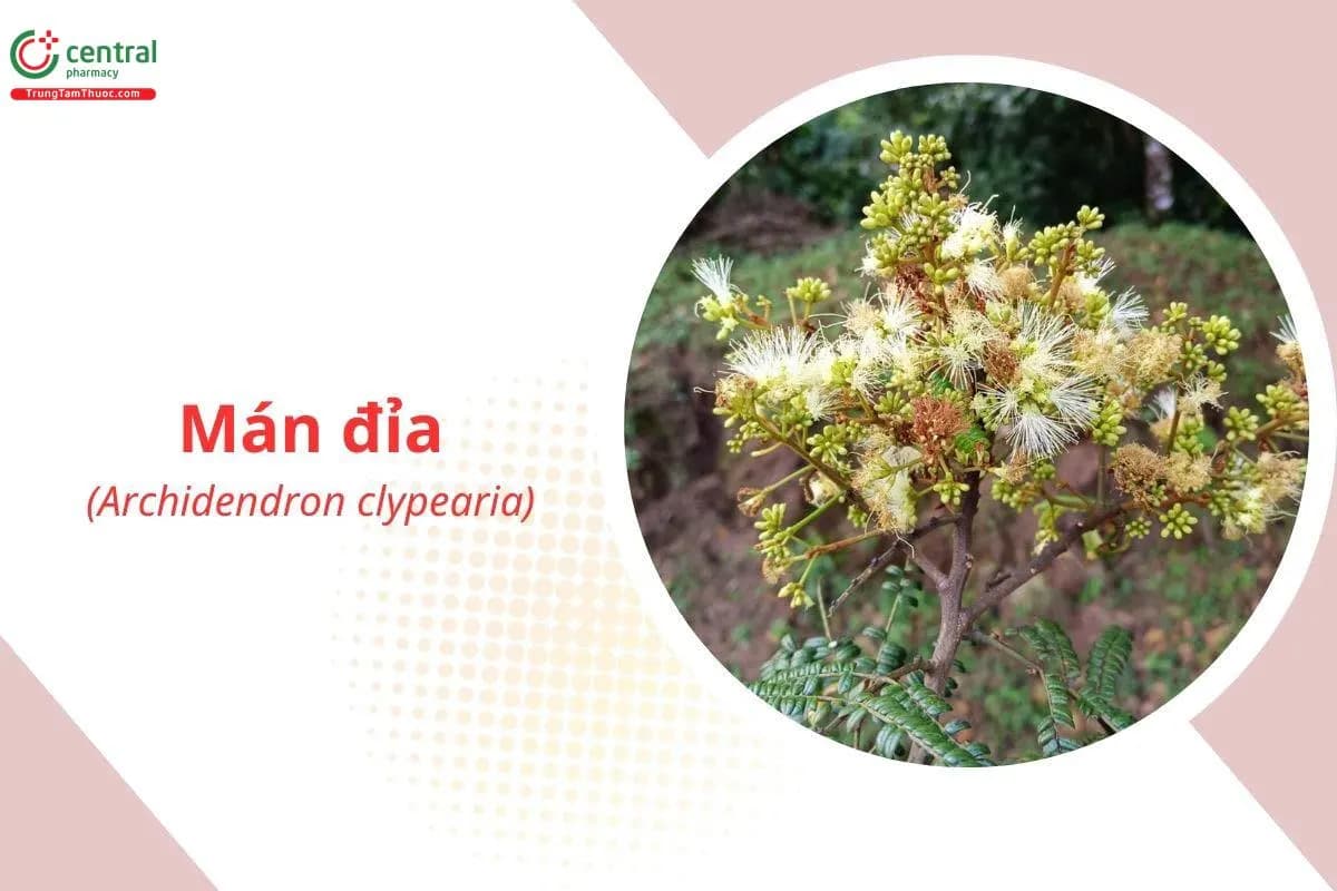 Mán Đỉa