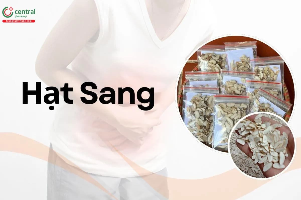 Hạt Sang