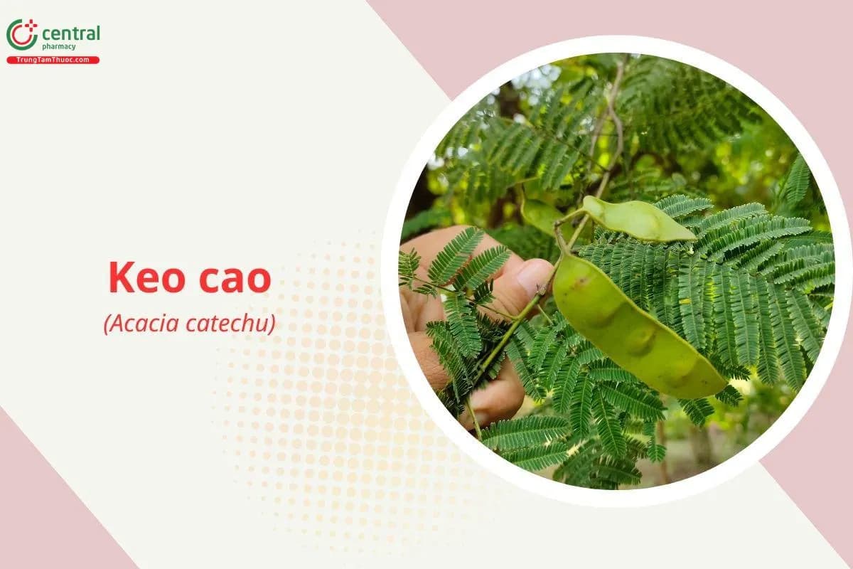 Keo cao