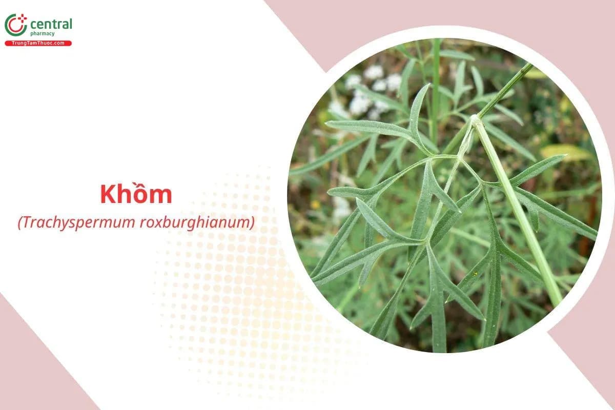 Khồm