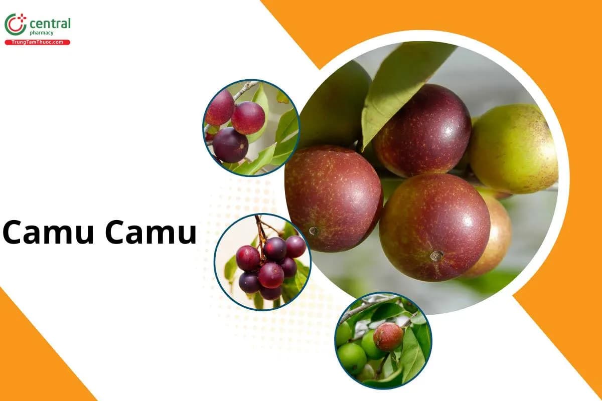 Camu Camu