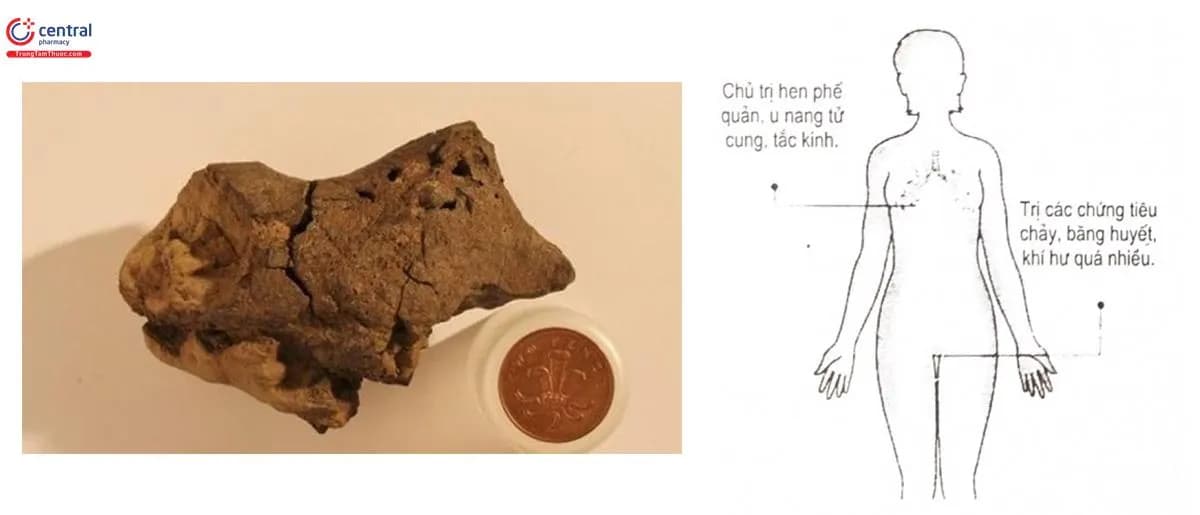 Thái Nhất Dư Lương
