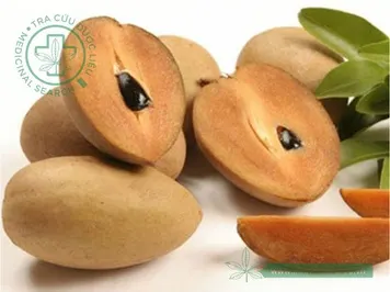 Hồng xiêm