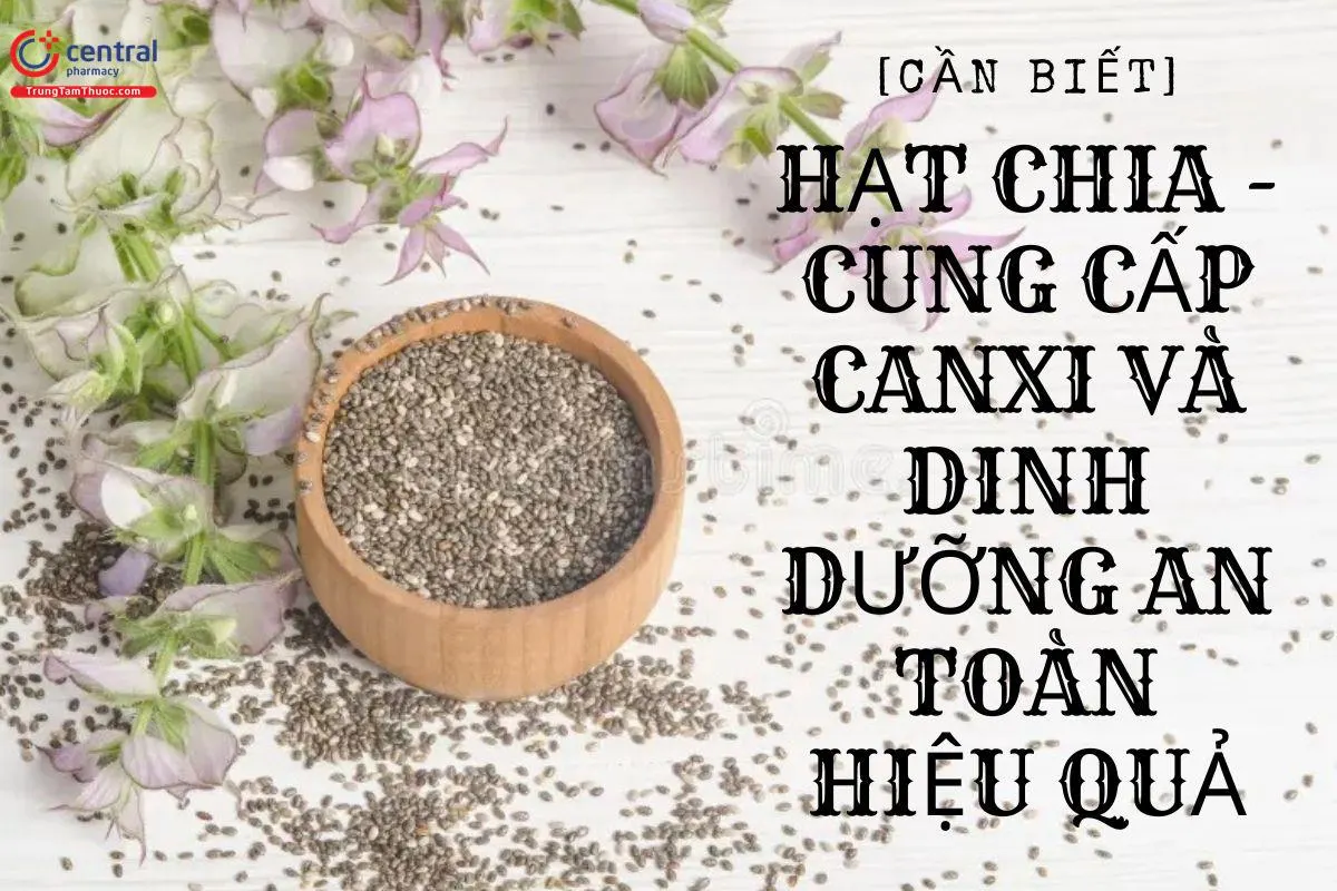 Hạt Chia