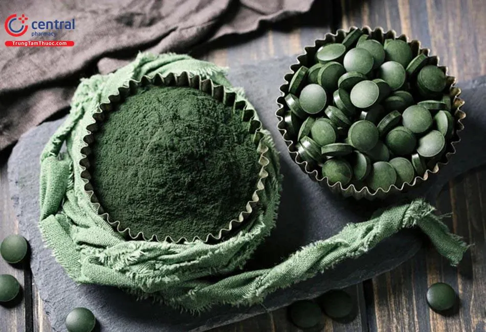 Tảo Xoắn Spirulina
