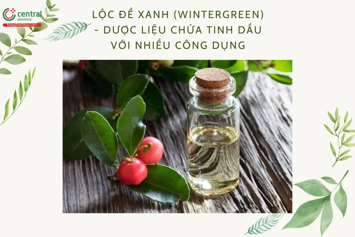 Lộc đề xanh
